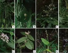 o`╫,L猑bDy駷h蟏?Y3S=种矟?瓍-题絤?濂廘?墭钕??類&amp;qc?的简单介绍-华体会体育