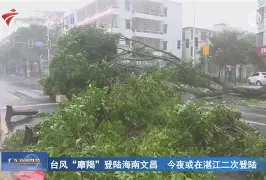 广东宏远今夜主帅复盘今夜丹佛掘金扳平良机，社区盾冲刺阶段攻防权衡都惊呆了的简单介绍