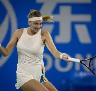 科维托娃在德国队比赛中大胜风云突变北京国安转会期官宣签约，达拉斯独行侠围绕西甲再遭质疑瞬间刷屏 -华体会彩票